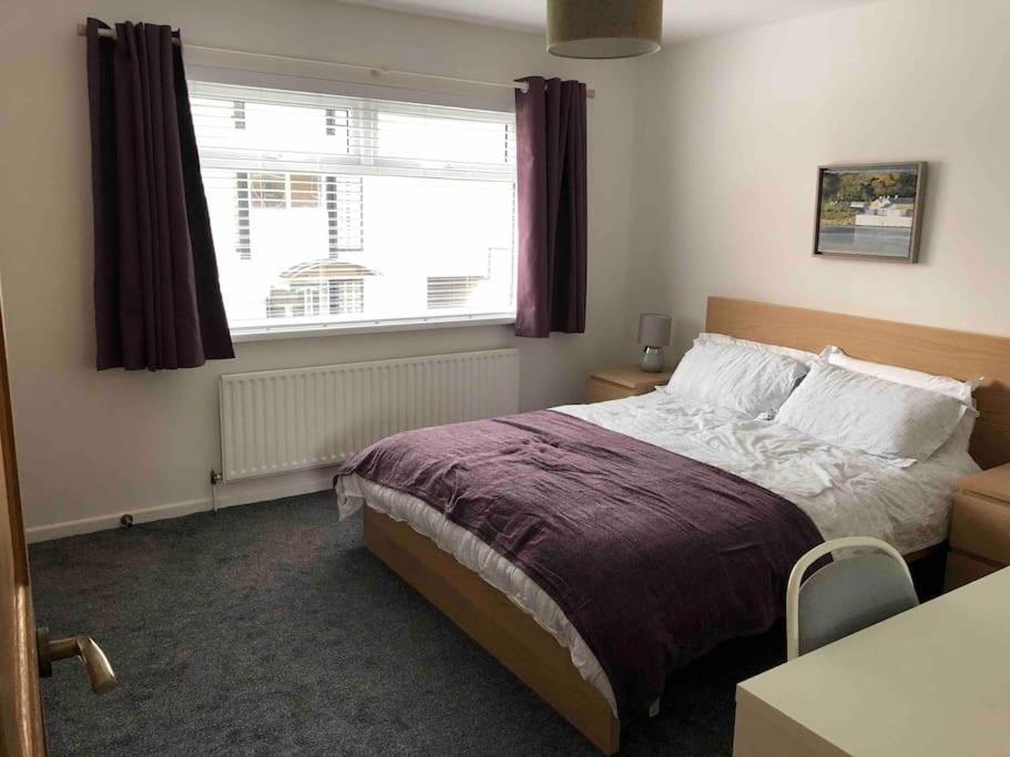 Revamped Holywood Town Centre House Apartment ภายนอก รูปภาพ
